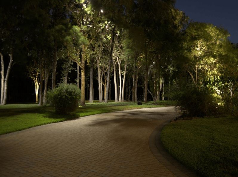 Driveway Downlighting